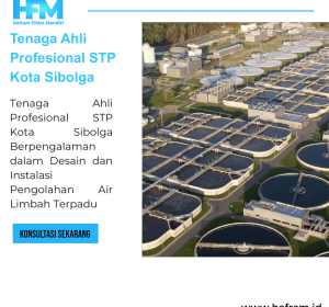 Tenaga Ahli Profesional STP Kota Sibolga